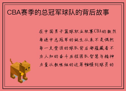 CBA赛季的总冠军球队的背后故事