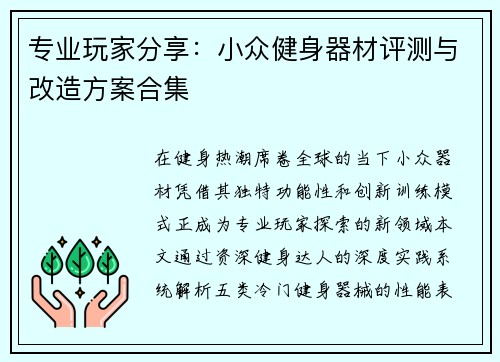 专业玩家分享：小众健身器材评测与改造方案合集