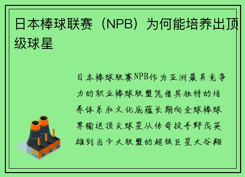 日本棒球联赛（NPB）为何能培养出顶级球星